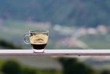 Fantini Premium Espresso Coffee Selection Gold ($1.6 / Ounce)