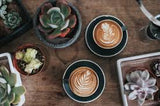 Ethical Bean Coffee Bold Dark Roast Whole Bean Coffee, 2-pack ($0.88/Ounce) ON Sale