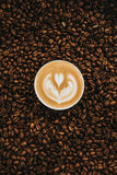 Starbucks Verona Coffee, 1.13 kg x 2 (5 lb)