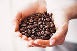 Tonino Lamborghini Black Coffee Beans 2-pack
