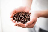 Zavida 100% Kona Whole Bean Coffee